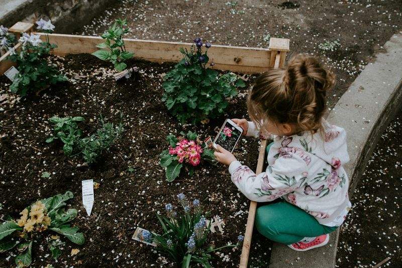 Mantenimiento integral de jardines